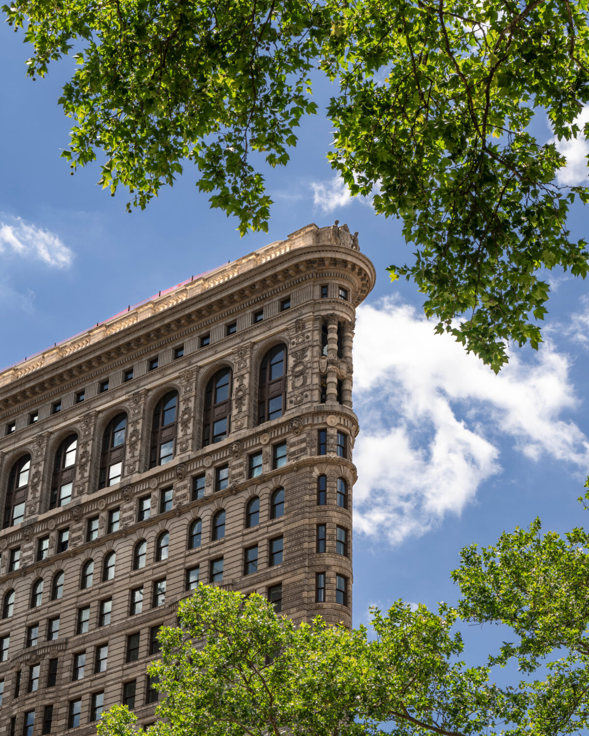 The Flatiron Building rises against a blue sky with scattered clouds, framed by green leafy tree branches at the top and bottom edges of the image.
