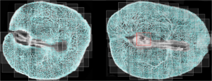 Two cross-sectioned objects with intricate internal networks outlined in blue, each overlaid with numerous transparent rectangles; the right object features an additional highlighted red rectangle near its center.