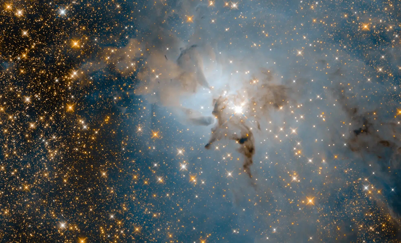 A dense field of bright stars and swirling, dark cosmic dust clouds.