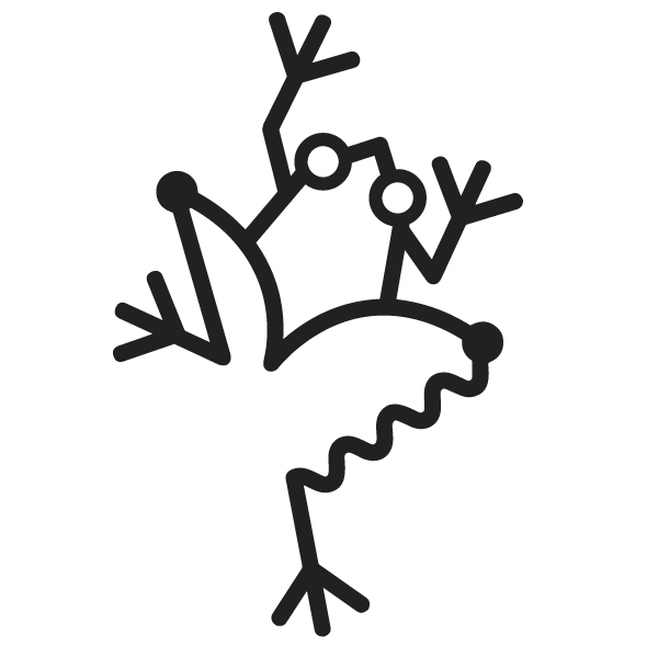Minimalist line drawing of a frog.